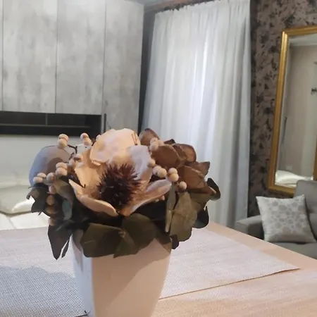 Le Rondini Nel Centro Di * Intra